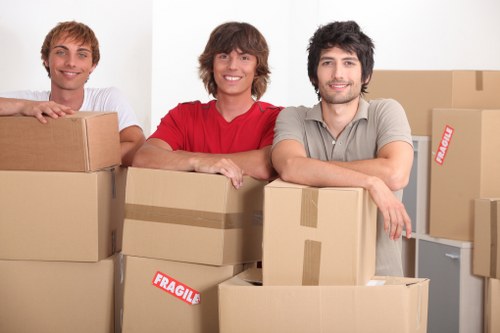 Secure home storage unit for furniture and boxes